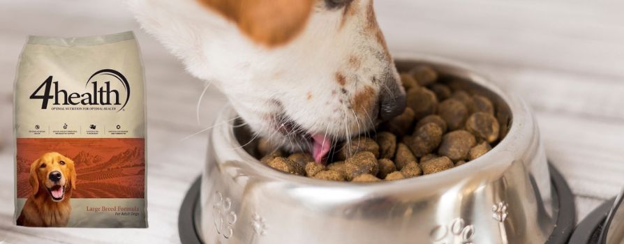 Why 4 Health Puppy Food Good For New Companion